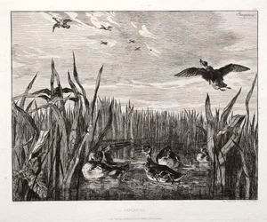 Cyraneczki, 1853 wydrukowane 1864.