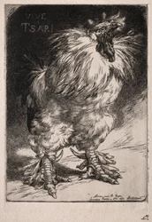 Francuski kogut, 1893.