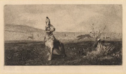Zając Le Hare, 1865.