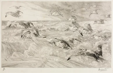 Mewy, c. 1880.