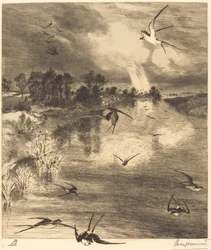Jaskółki