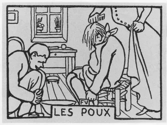 Głowa marchewki: „wszy”, napisane przez Julesa Renarda ed. Flammarion (ilustracja)
