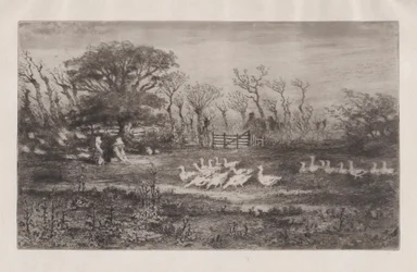 Gęsi, 1860-98.