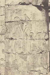 Karnak (Teby), Pałac - Sala Hipostylowa - Centralna Kolumnada - Dekoracja Fut, 1853 (zdjęcie)