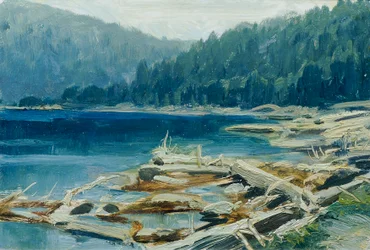 Szumawa (z teki „16 widoków czeskich krajobrazów 