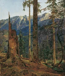 Höllengebirge w pobliżu Ischl