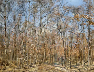 Las bukowy, 1885-1894 .
