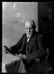Zdjęcie Zygmunta Freuda (1856-1939)