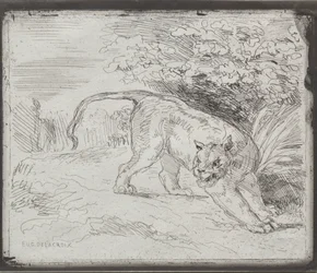 Uwięziony tygrys, 1854.