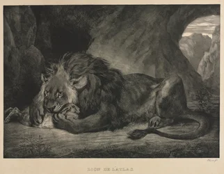 Lew Atlasa, 1829.