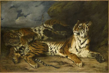 Młody tygrys bawiący się z matką, 1830.