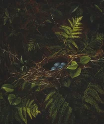 Ptasie gniazdo i paprocie, 1863
