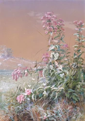 Bez tytułu