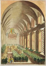 Drzewka cytrusowe w szklarni, z „Hesperydów” Giovanniego Battisty Ferrariego, sztychowane przez Cammillo Congio (fl.1630), wydane w 1646