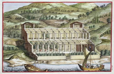 Struktura oranżerii z „Hesperyd” Giovanniego Battisty Ferrariego, sztychowana przez Cammillo Congio (fl.1630), wydana w 1646