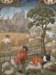 Fol.7v Miesiąc lipiec: żniwa i strzyżenie owiec, z Breviarium Grimani, ok. 1515