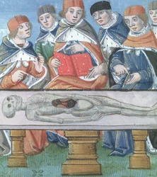 Pani Hunter 9 f.34r Sekcje, z De Medina Fen I. II, przez Avicenna (980-1037)