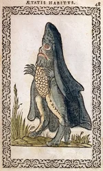 Biskup morski lub potwór morski, ilustracja z Nawyki i portrety prawie wszystkich narodów i narodów współczesnych, Jean Sluperji, Antwerpia, 1572 (kolorowy drzeworyt)