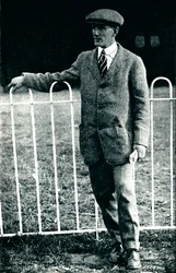 Ocalały z strasznego zderzenia: pan Sydney Pickles, ekspert Caudron, 1913 1934