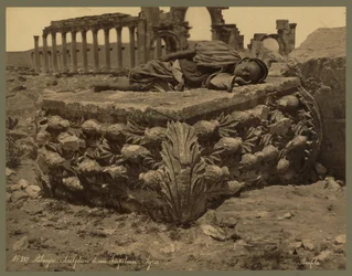 Widok Wielkiej Kolumnady, Palmyra, ok. 1875 (odbitka albumowa)