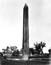 Obelisk Heliopolis, Egipt, 1878