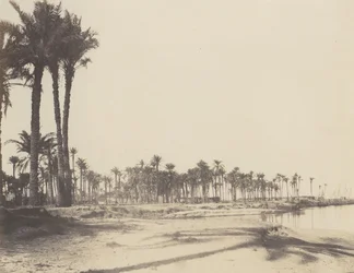El-Nâcérah, Dattiers, Rives du Nil et Barques, 1851-52, druk 1853-54.