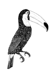 Toco - czarno-białe