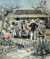 Francuzi udzielają lekcji rolnictwa rdzennym mieszkańcom Madagaskaru w 1897 r. (rycina)