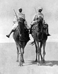 Dwóch Arabów na wielbłądach na Saharze, Afryka, 1936.
