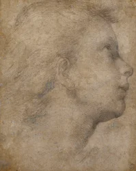 Głowa Anioła w Profilu patrząca w prawo,