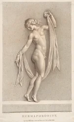 Hermafrodyta