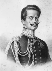 د Vittorio Emanuele II (1820-1878) انځور، د ایټالیا لومړی پاچا، د فرانسیسکو ګونین لخوا لیتوګرافي (1808-1889) پولي
