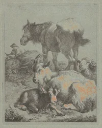 Koń, Baran, Koza z Dzieciątkiem, W oddali pasterz ze stadem, 1759.