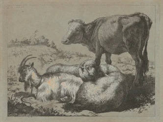 Stojący wół, dwie owce i koza, ok. godz. 1762.