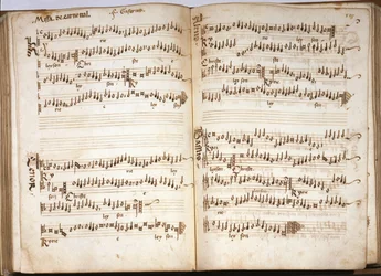 Msza karnawałowa w "Liber Capella" Franchiniego (Franchino) Gaffurio (Franchinus Gaffurius) (1451-1522). Tom III