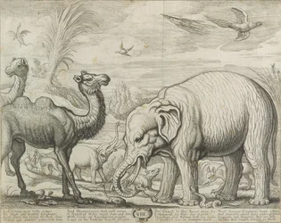 Afryka, 1672