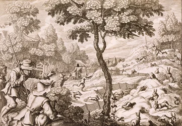 Łowienie kuców, rycina Wacława Hollara, 1671 r.