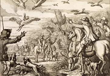 Czapla Hawking, rytowana przez Wenceslausa Hollara, 1671