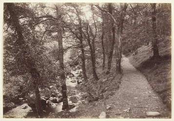 Dolgelley, Widok w Torrent Walk