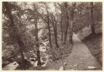 Dolgelley, Widok w Torrent Walk, 186094.