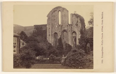 Llangollen - opactwo Valle Crucis, widok z ogrodu