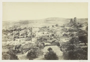 Betanii