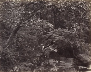 Glen w Lynmouth, lata 60. XIX wieku