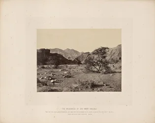 Pustkowie grzechu (Wady Shellal)