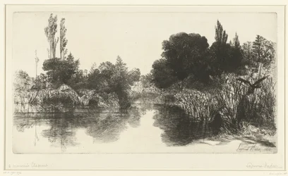 Oczko wodne Staw Shere Mill