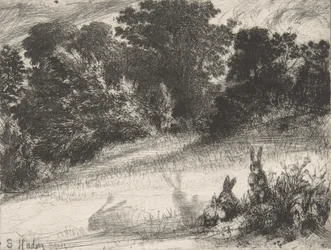 Grzebień dolny, 1860., 1860.