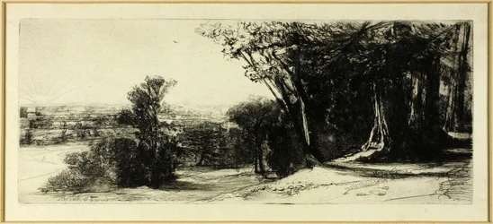 Wczesny poranek, Richmond Park