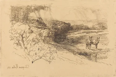 Encombe Woods (nr 1)