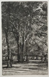 Ogrody Kensington (Duży Talerz)