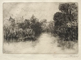 Staw Shere Mill (Małe Studium)